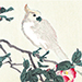 Keibun Matsumura Gallery